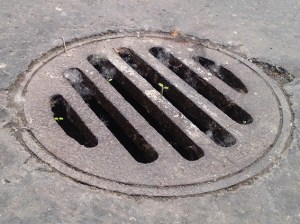 every place is a good place