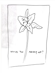 would you marry me ?